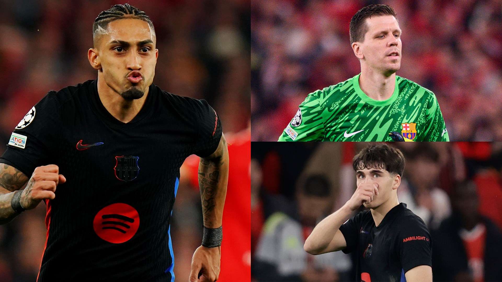 瞻性的體系 瞻性的體系