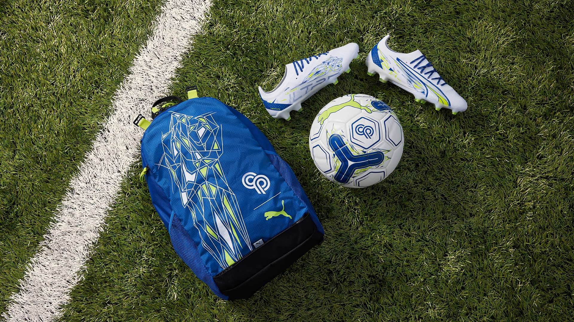 明了自己的 明了自己的